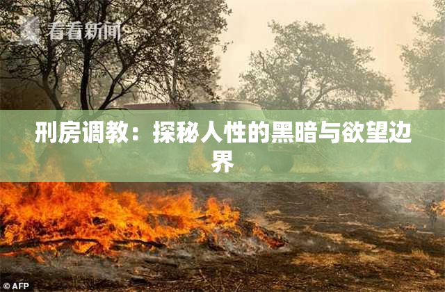 刑房调教：探秘人性的黑暗与欲望边界