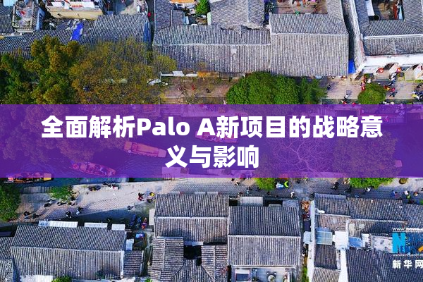 全面解析Palo A新项目的战略意义与影响