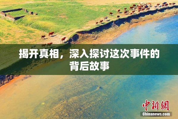 揭开真相，深入探讨这次事件的背后故事