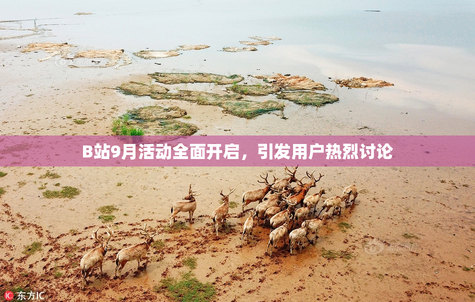 B站9月活动全面开启，引发用户热烈讨论