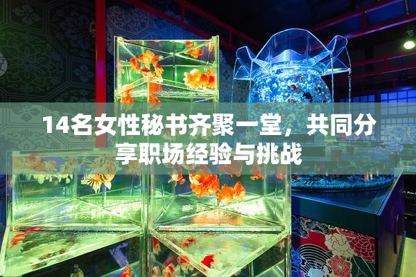 14名女性秘书齐聚一堂，共同分享职场经验与挑战