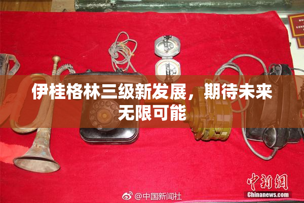 伊桂格林三级新发展，期待未来无限可能