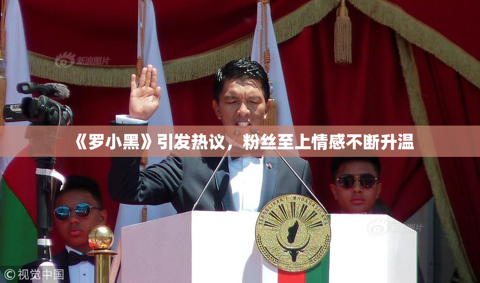 《罗小黑》引发热议，粉丝至上情感不断升温