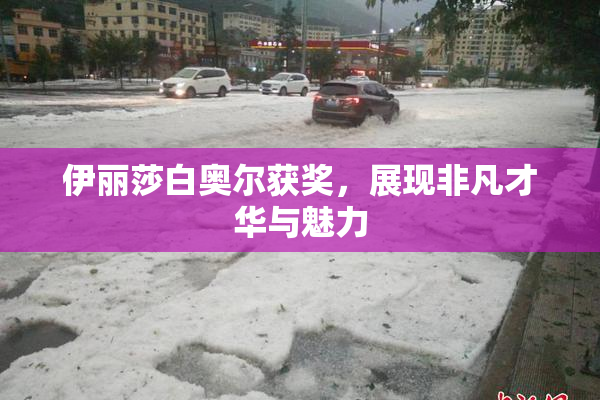 伊丽莎白奥尔获奖，展现非凡才华与魅力