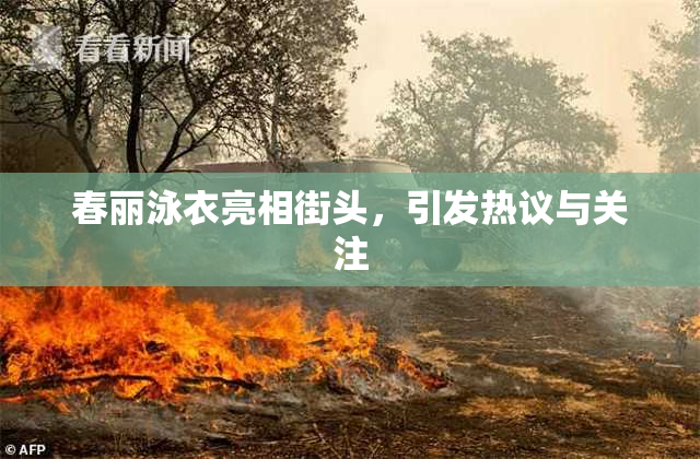 春丽泳衣亮相街头，引发热议与关注