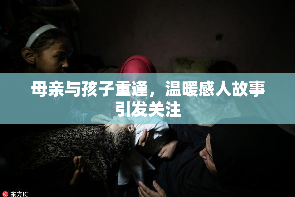 母亲与孩子重逢，温暖感人故事引发关注