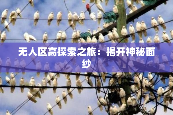 无人区高探索之旅：揭开神秘面纱