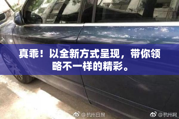 真乖！以全新方式呈现，带你领略不一样的精彩。