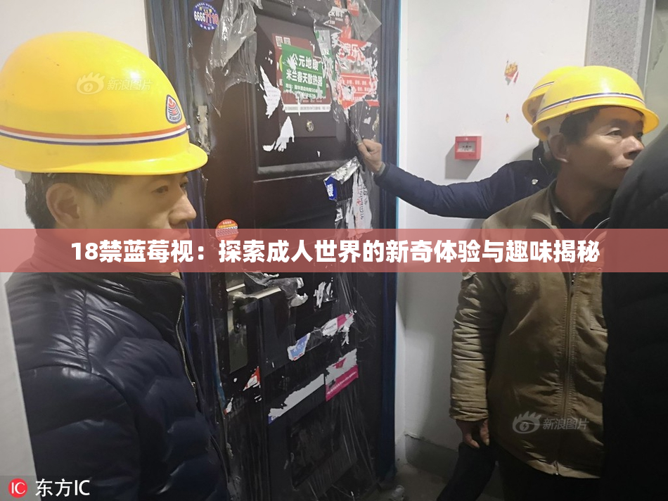 18禁蓝莓视：探索成人世界的新奇体验与趣味揭秘