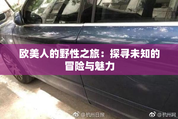 欧美人的野性之旅：探寻未知的冒险与魅力