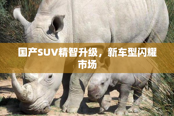 国产SUV精智升级，新车型闪耀市场