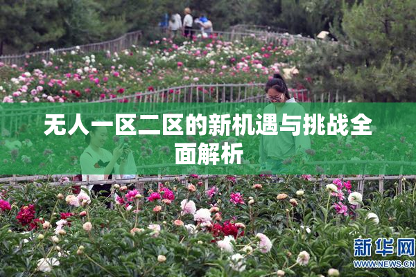 无人一区二区的新机遇与挑战全面解析