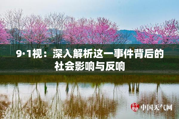 9·1视：深入解析这一事件背后的社会影响与反响