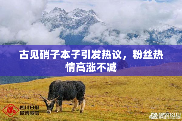 古见硝子本子引发热议，粉丝热情高涨不减