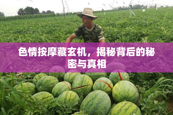 色情按摩藏玄机，揭秘背后的秘密与真相