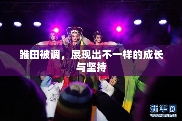 雏田被调，展现出不一样的成长与坚持