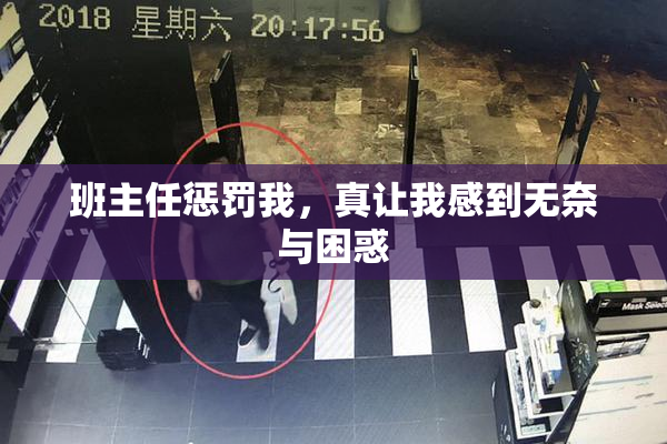 班主任惩罚我，真让我感到无奈与困惑