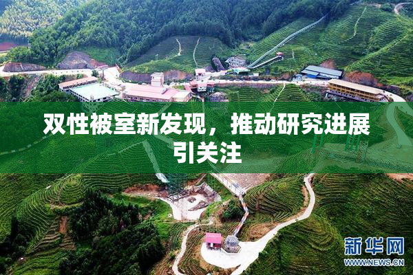 双性被室新发现，推动研究进展引关注