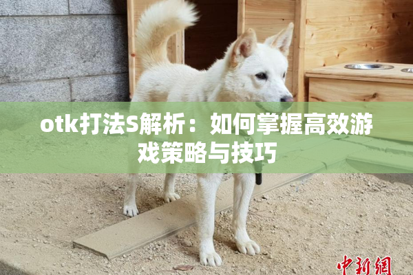 otk打法S解析：如何掌握高效游戏策略与技巧