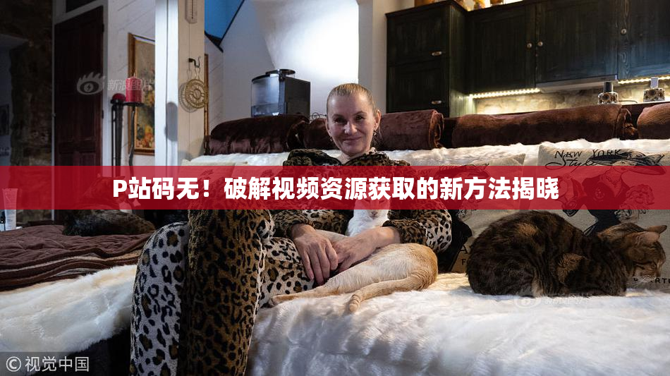 P站码无！破解视频资源获取的新方法揭晓