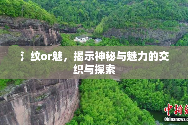 氵纹or魅，揭示神秘与魅力的交织与探索