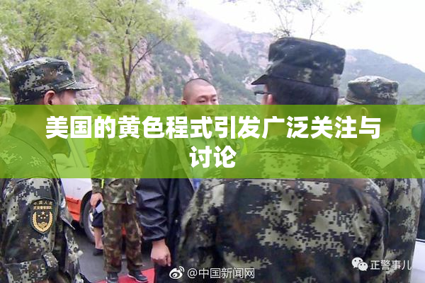 美国的黄色程式引发广泛关注与讨论