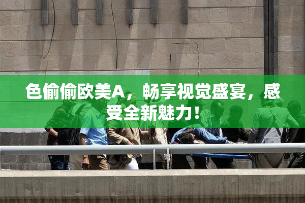 色偷偷欧美A，畅享视觉盛宴，感受全新魅力！