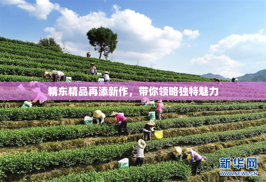 精东精品再添新作，带你领略独特魅力