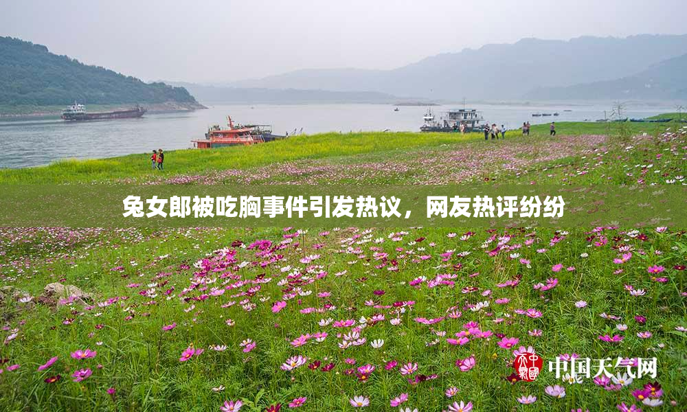 兔女郎被吃胸事件引发热议，网友热评纷纷