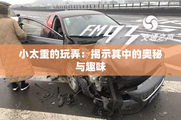 小太重的玩弄：揭示其中的奥秘与趣味