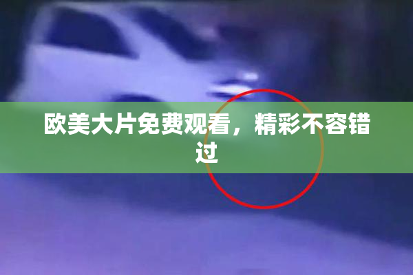 欧美大片免费观看，精彩不容错过