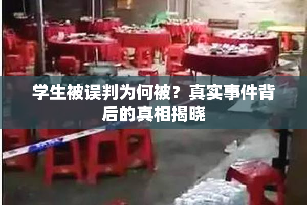 学生被误判为何被？真实事件背后的真相揭晓