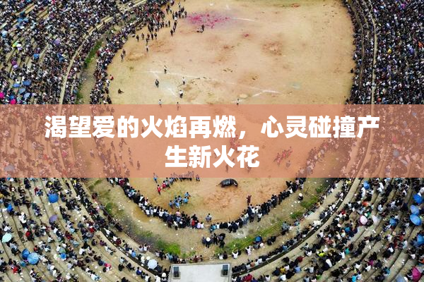 渴望爱的火焰再燃，心灵碰撞产生新火花