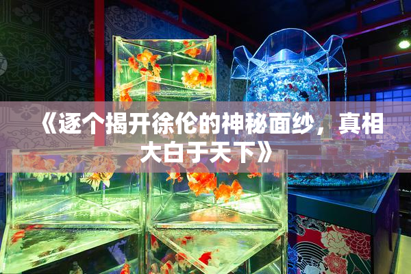 《逐个揭开徐伦的神秘面纱，真相大白于天下》