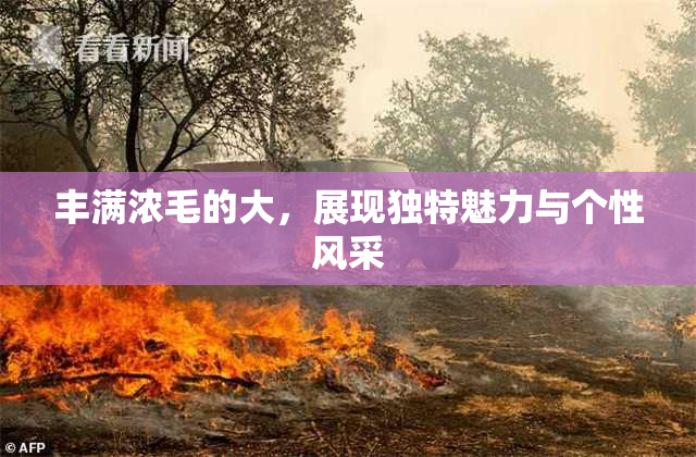 丰满浓毛的大，展现独特魅力与个性风采