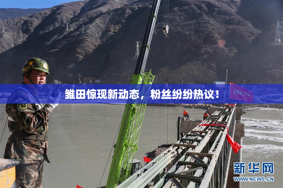 雏田惊现新动态，粉丝纷纷热议！