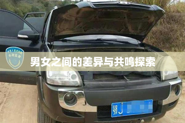 男女之间的差异与共鸣探索