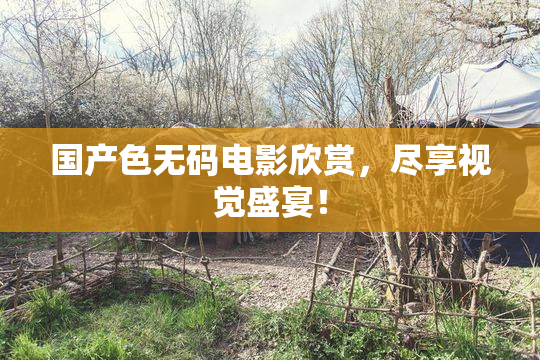 国产色无码电影欣赏，尽享视觉盛宴！