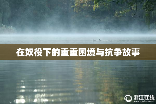 在奴役下的重重困境与抗争故事