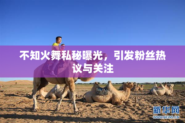 不知火舞私秘曝光，引发粉丝热议与关注