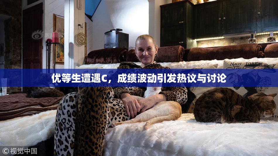 优等生遭遇C，成绩波动引发热议与讨论