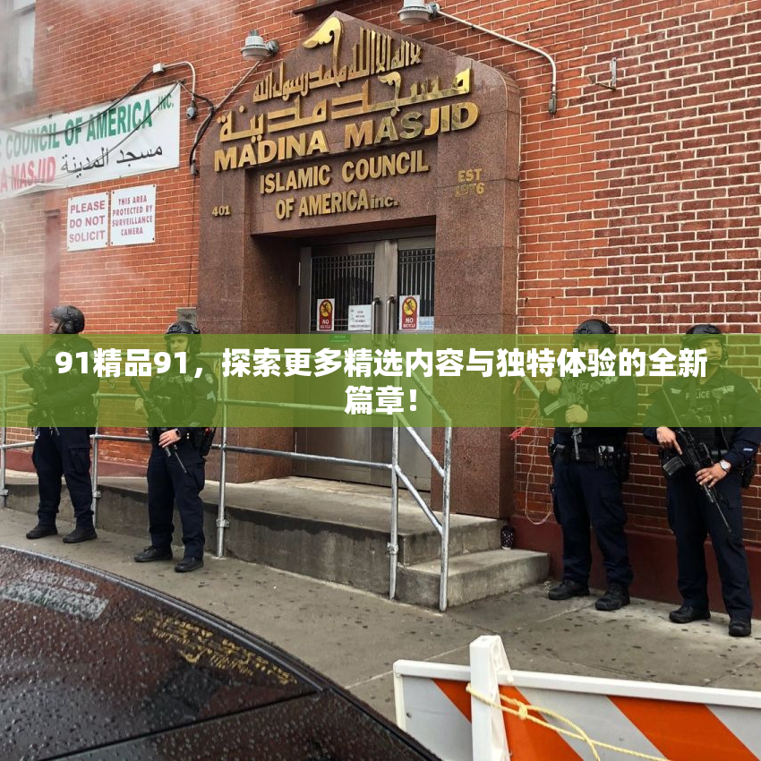 91精品91，探索更多精选内容与独特体验的全新篇章！