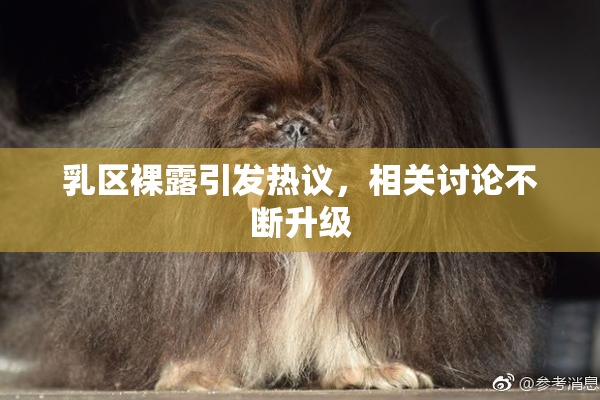 乳区裸露引发热议，相关讨论不断升级