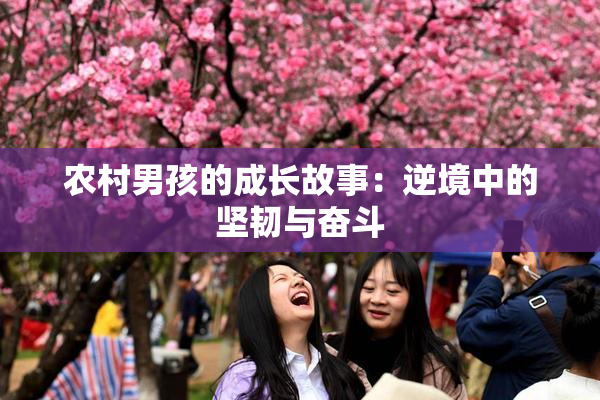 农村男孩的成长故事：逆境中的坚韧与奋斗
