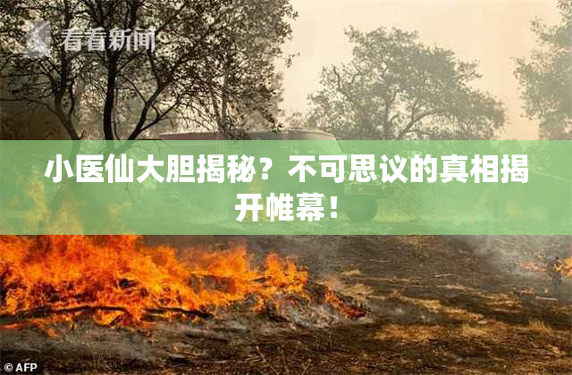小医仙大胆揭秘？不可思议的真相揭开帷幕！