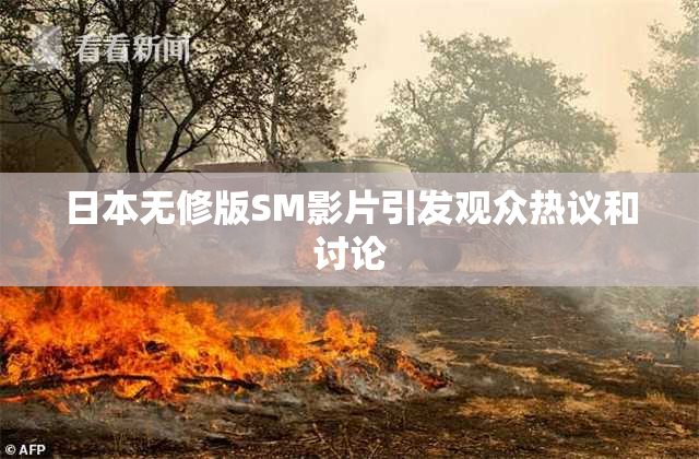 日本无修版SM影片引发观众热议和讨论