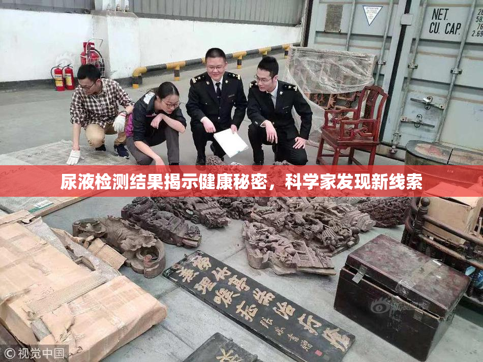 尿液检测结果揭示健康秘密，科学家发现新线索