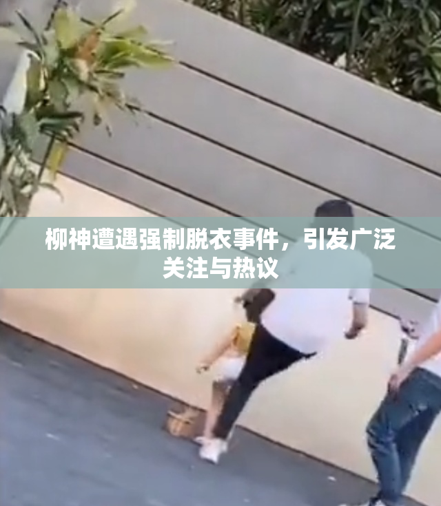 柳神遭遇强制脱衣事件，引发广泛关注与热议
