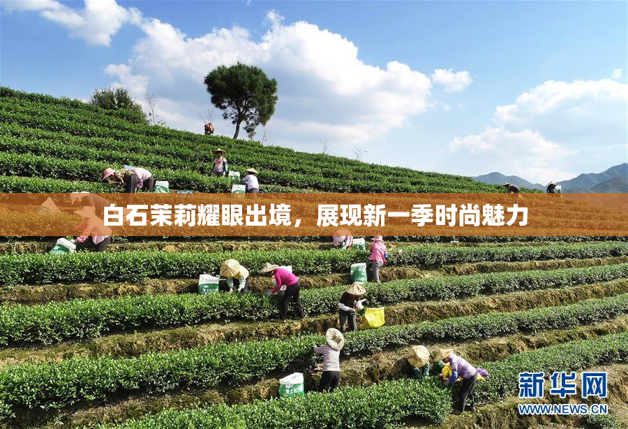 白石茉莉耀眼出境，展现新一季时尚魅力