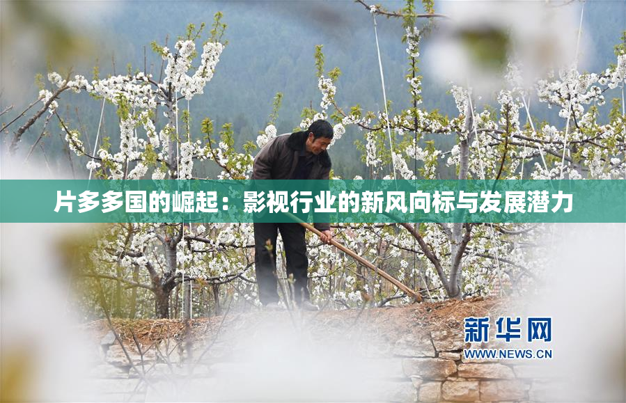 片多多国的崛起：影视行业的新风向标与发展潜力